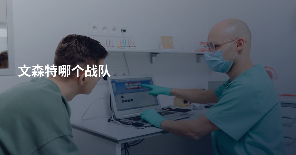 文森特哪个战队
