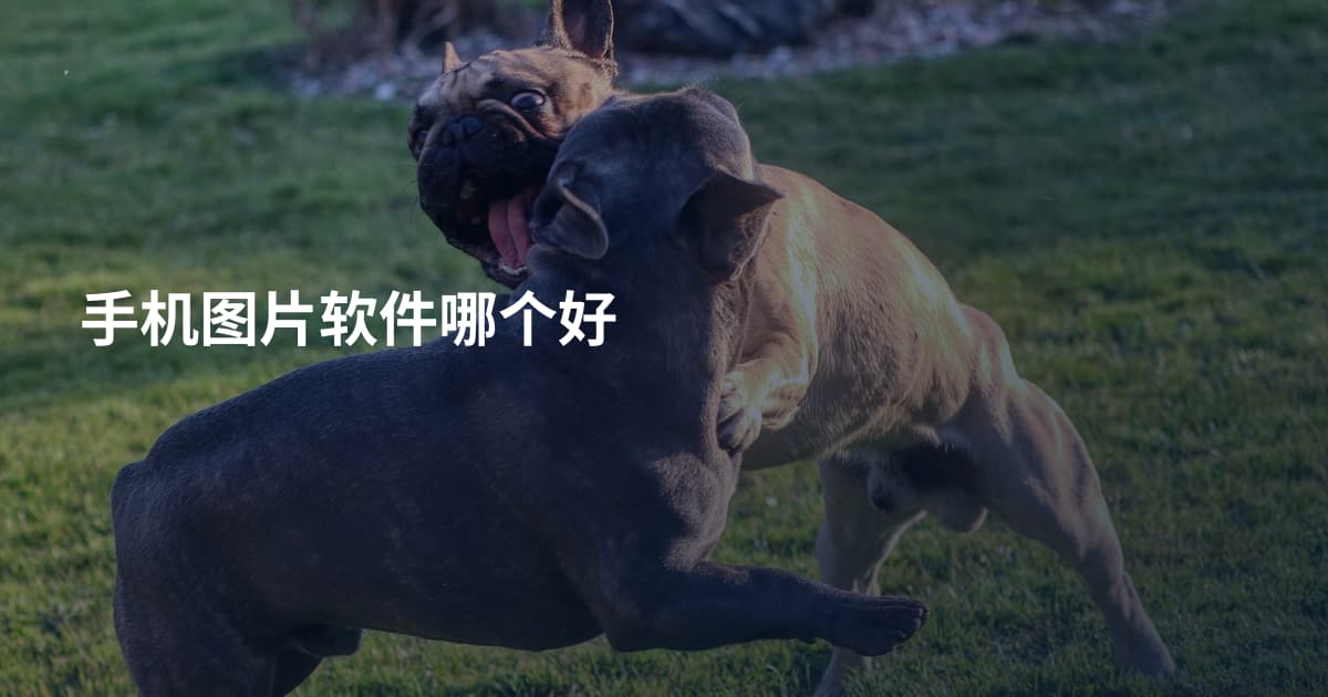 手机图片软件哪个好