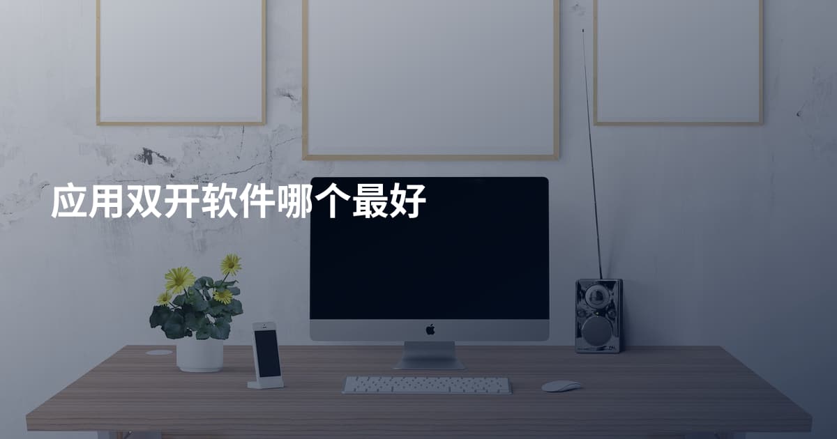 应用双开软件哪个最好