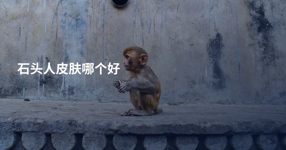 石头人皮肤哪个好