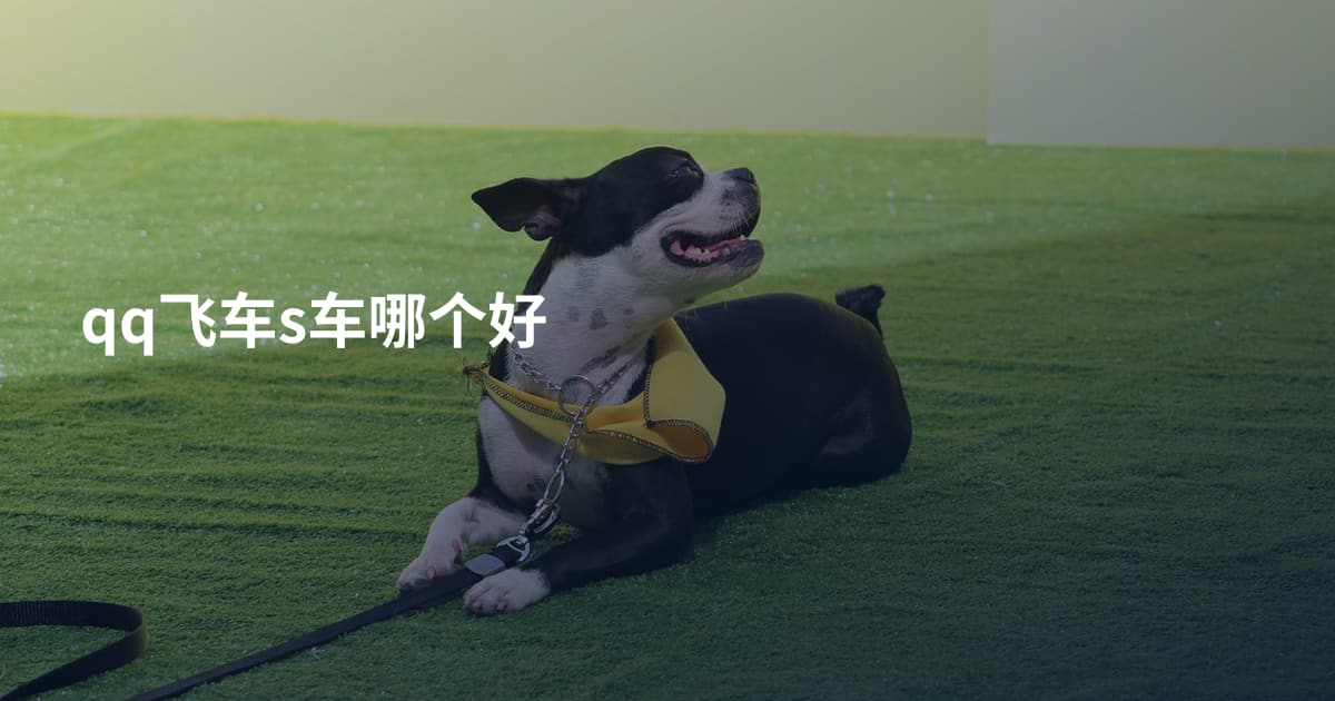 qq飞车s车哪个好