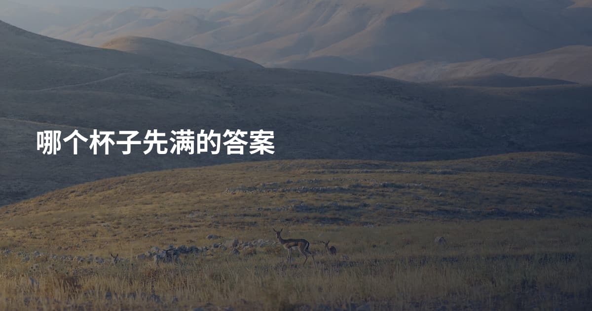 哪个杯子先满的答案
