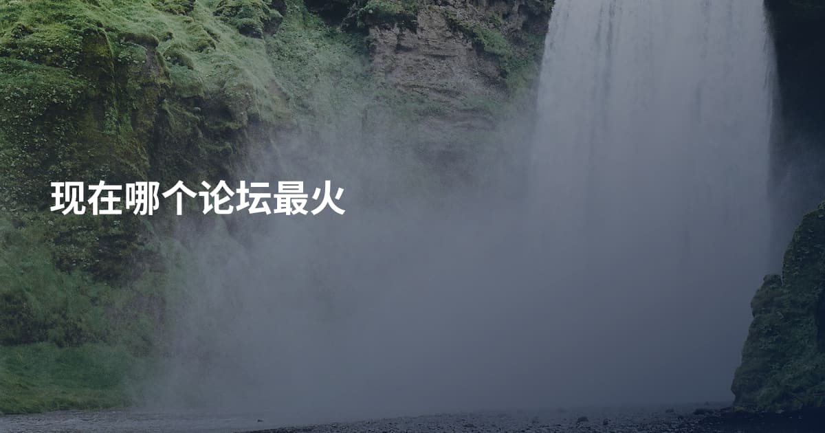 现在哪个论坛最火