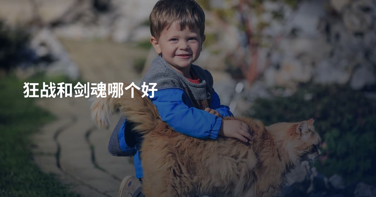 狂战和剑魂哪个好