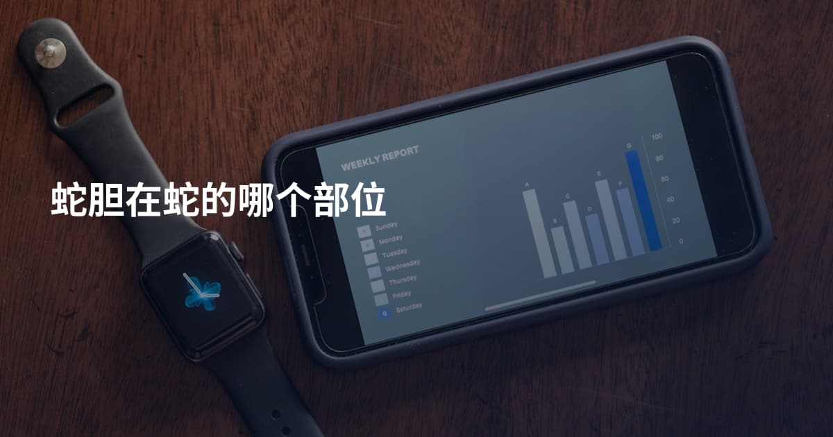 蛇胆在蛇的哪个部位
