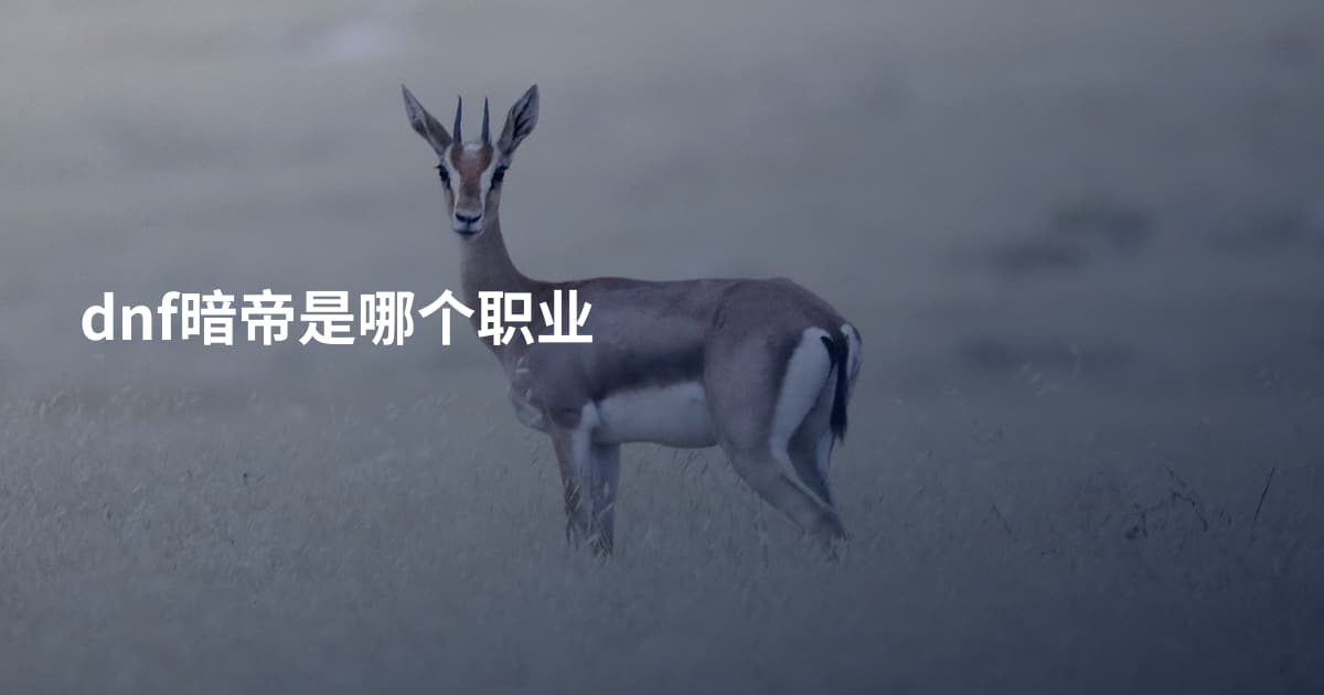 dnf暗帝是哪个职业
