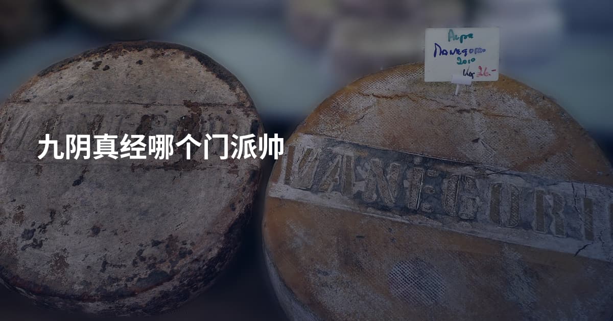 九阴真经哪个门派帅