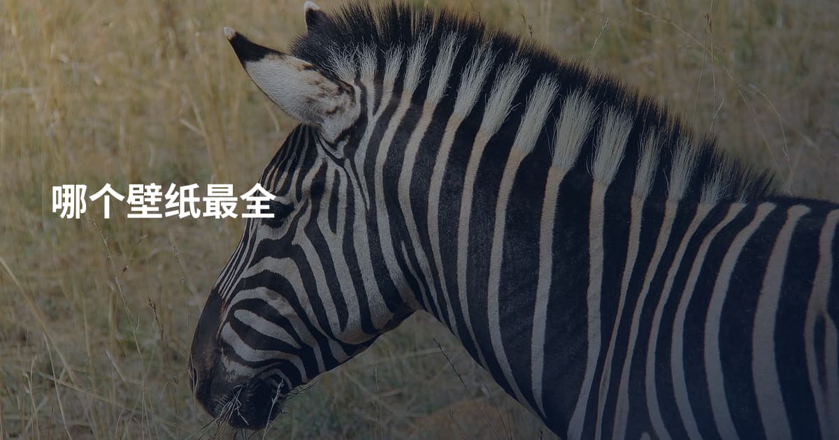 哪个壁纸最全