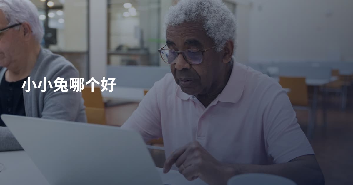 小小兔哪个好