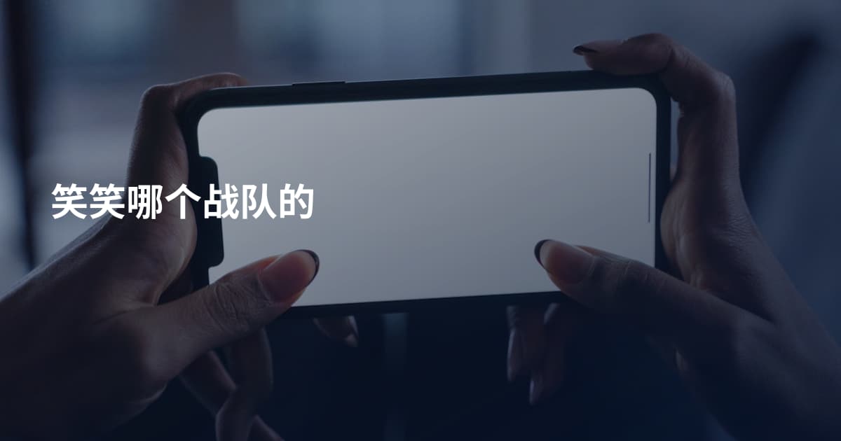 笑笑哪个战队的