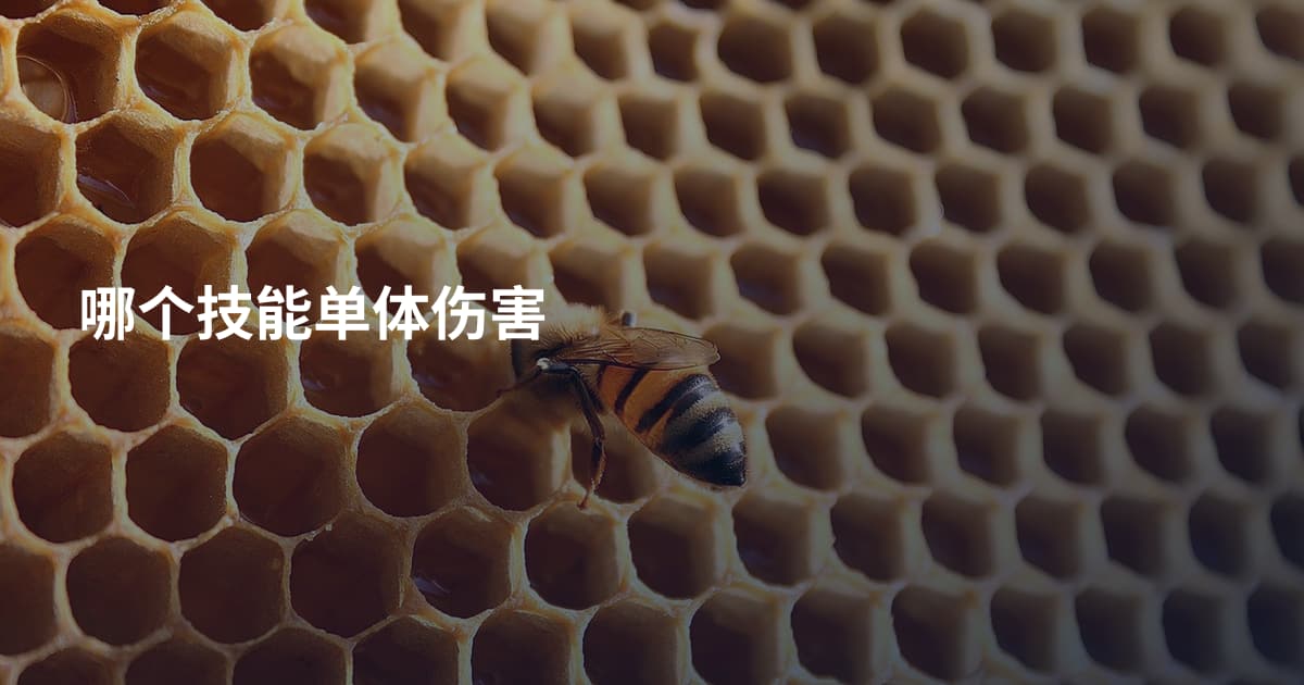 哪个技能单体伤害
