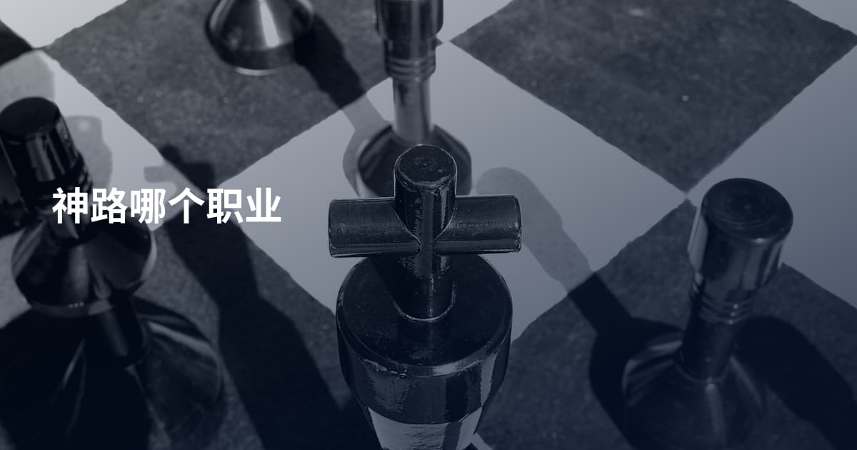 神路哪个职业