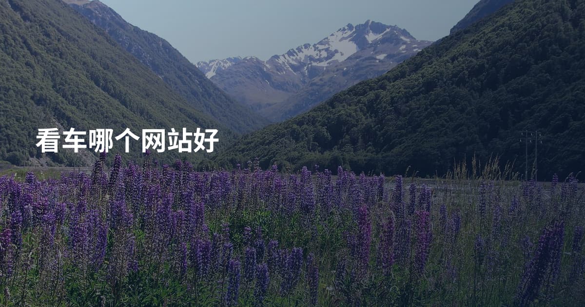 看车哪个网站好