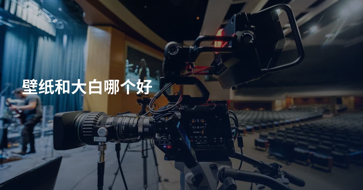 壁纸和大白哪个好