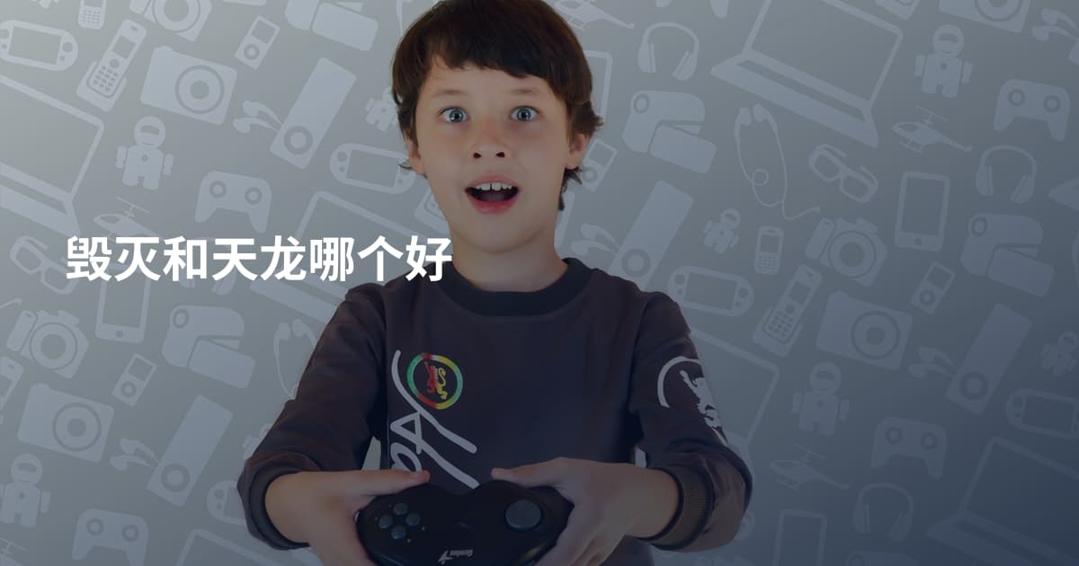 毁灭和天龙哪个好