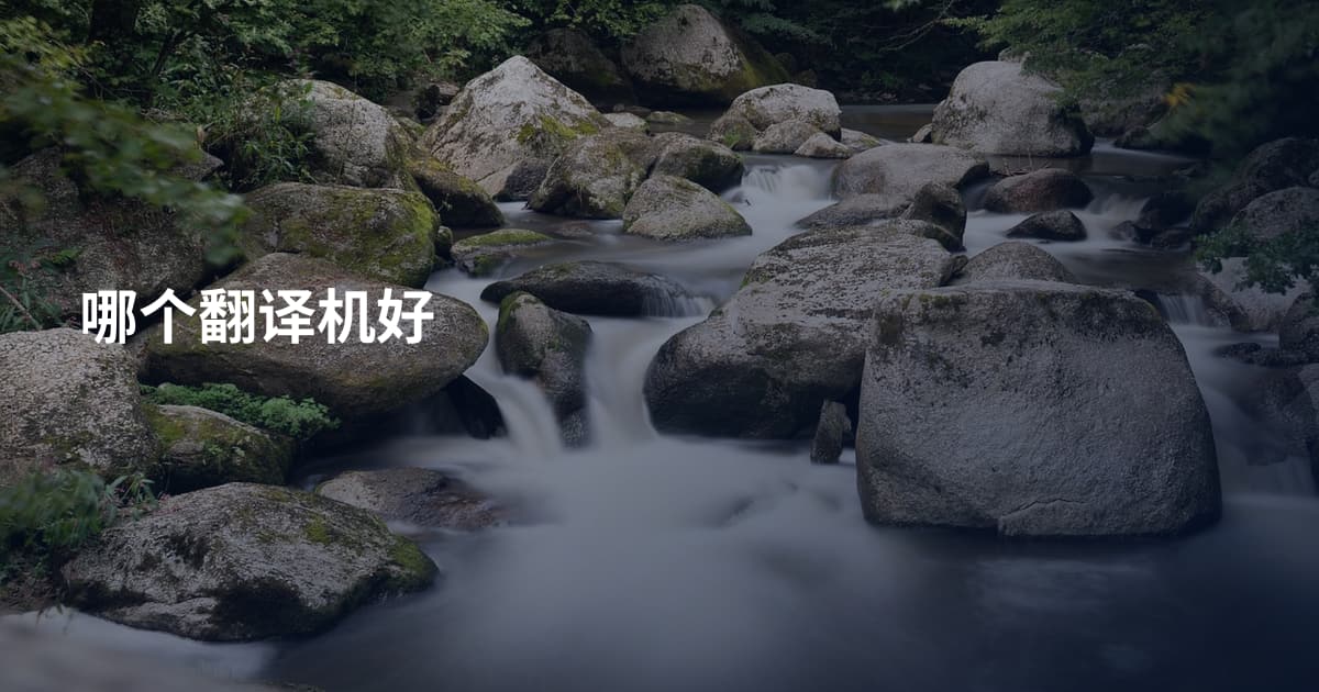 哪个翻译机好