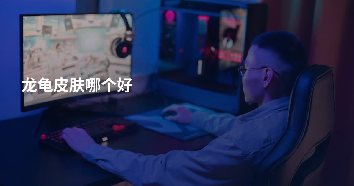 龙龟皮肤哪个好