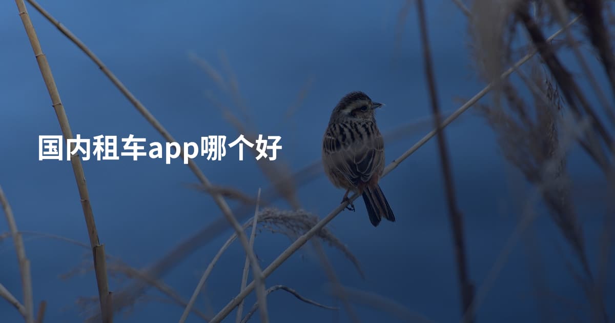 国内租车app哪个好