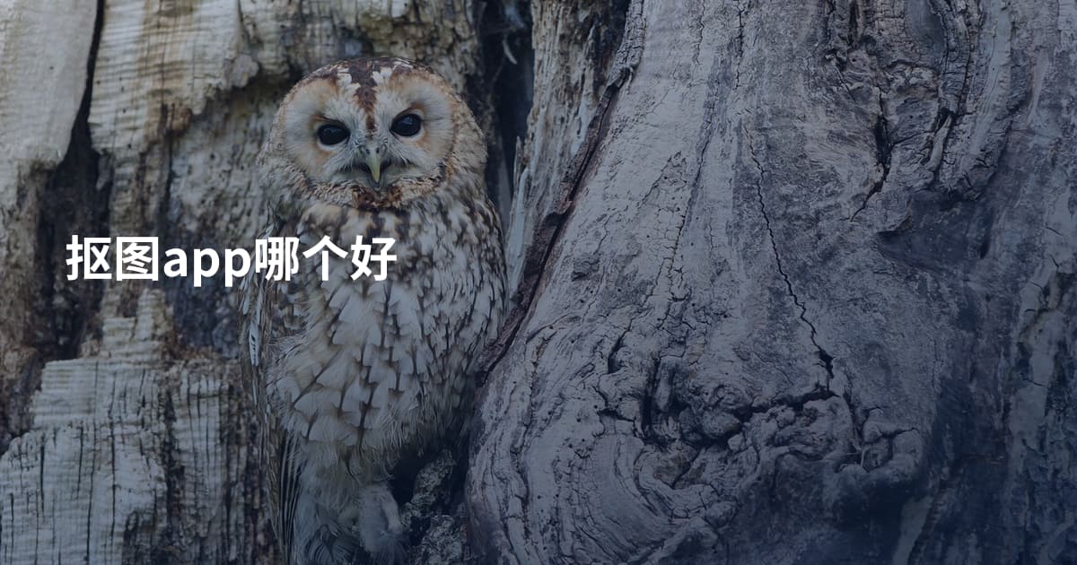 抠图app哪个好
