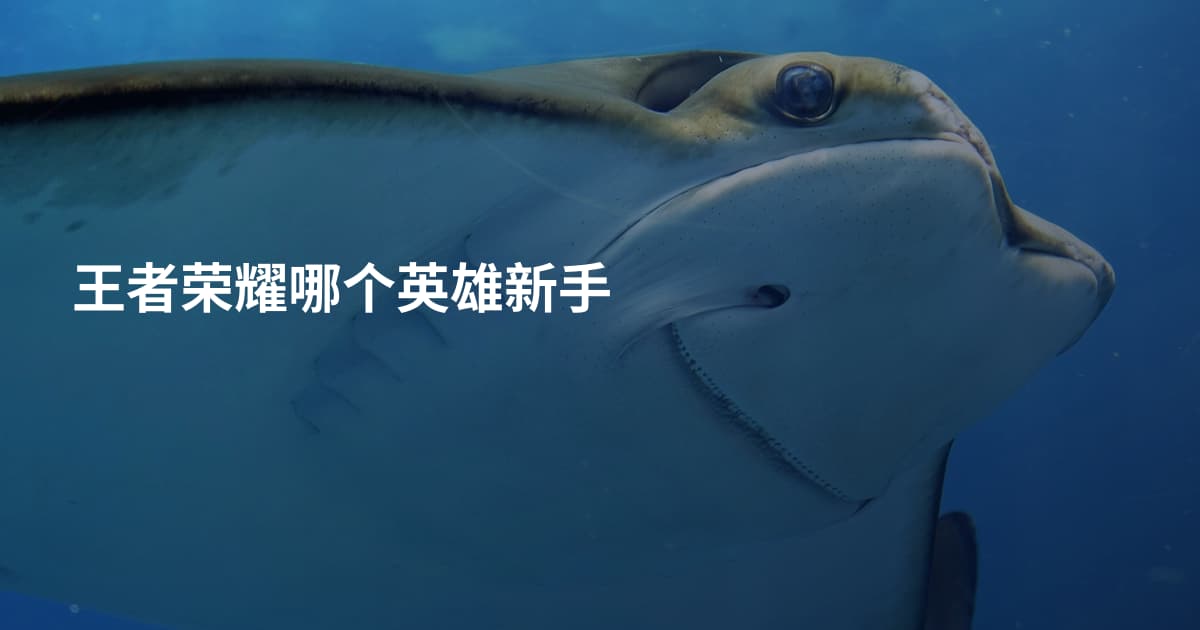 王者荣耀哪个英雄新手