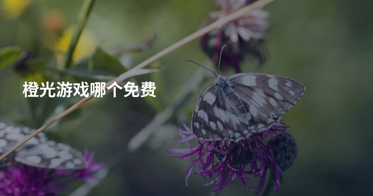 橙光游戏哪个免费