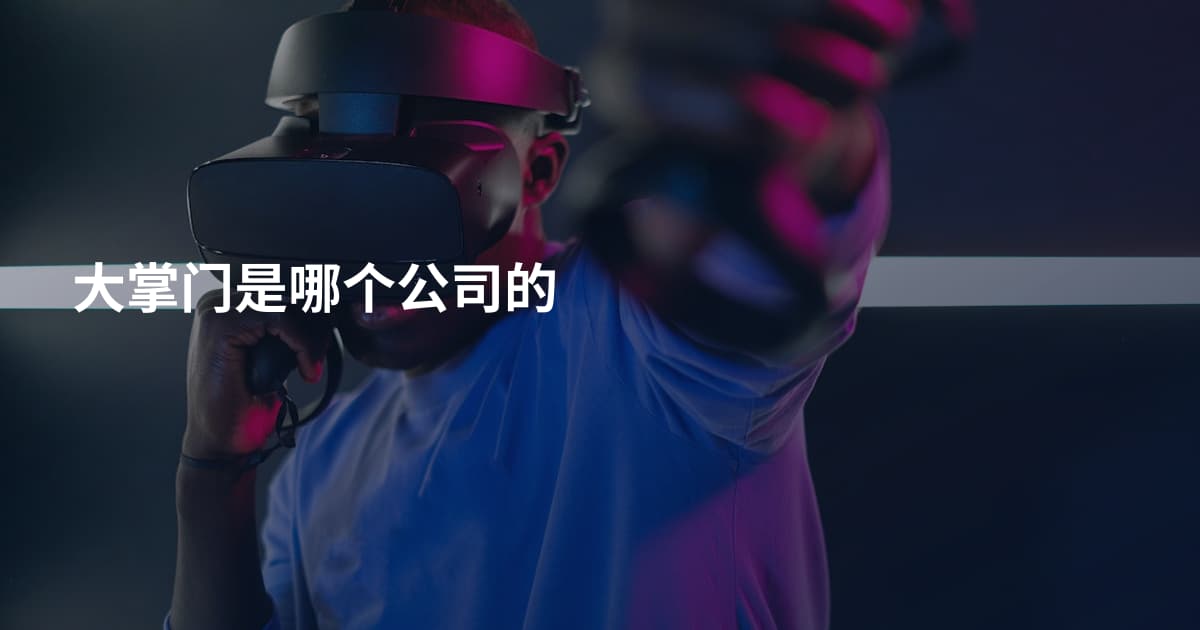 大掌门是哪个公司的