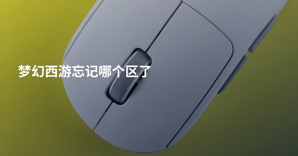 梦幻西游忘记哪个区了