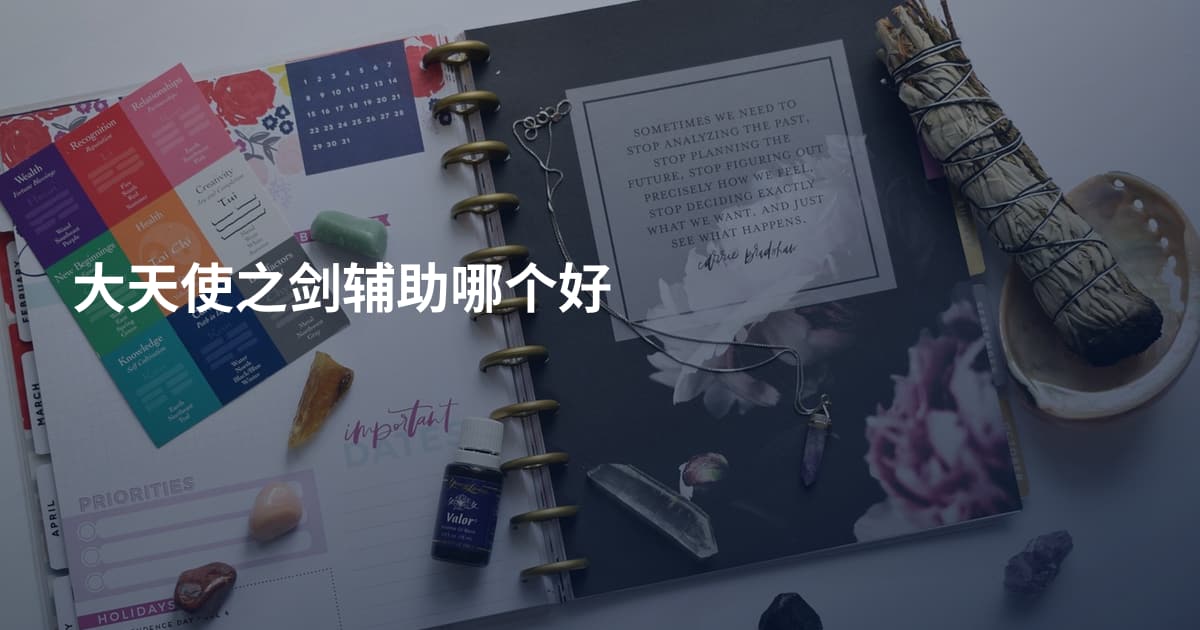 大天使之剑辅助哪个好