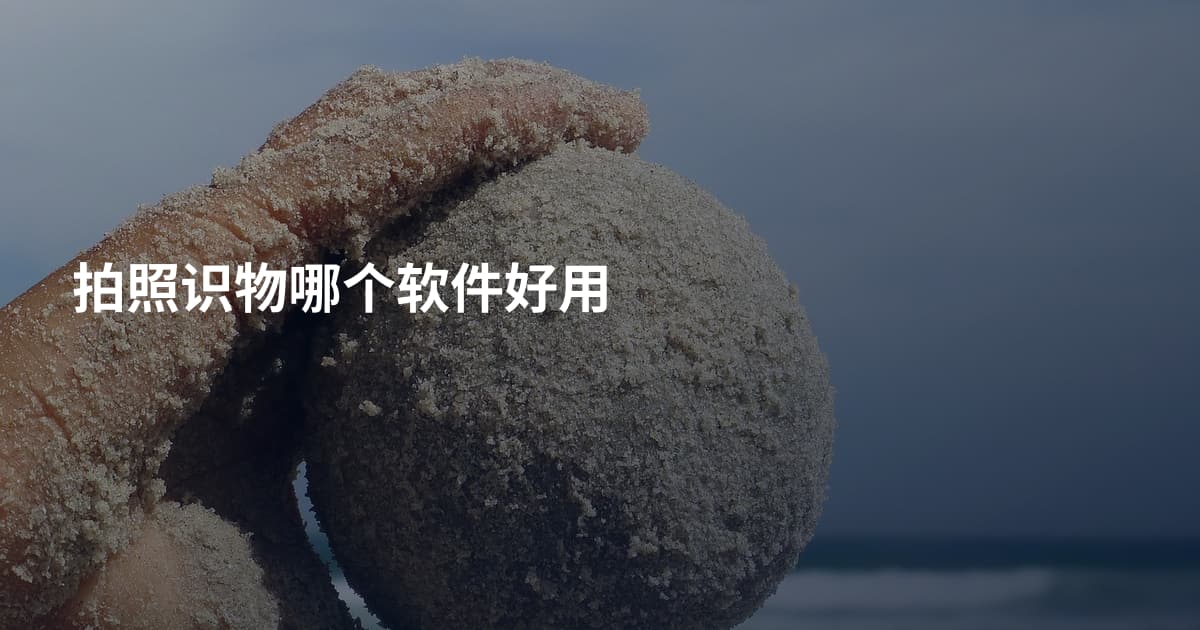 拍照识物哪个软件好用