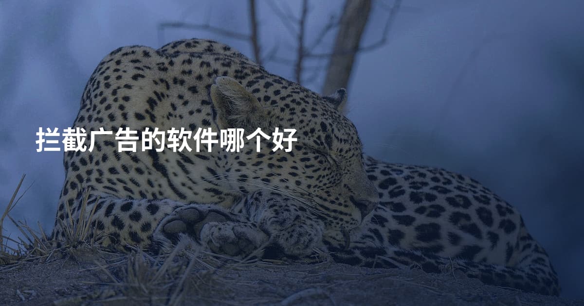 拦截广告的软件哪个好