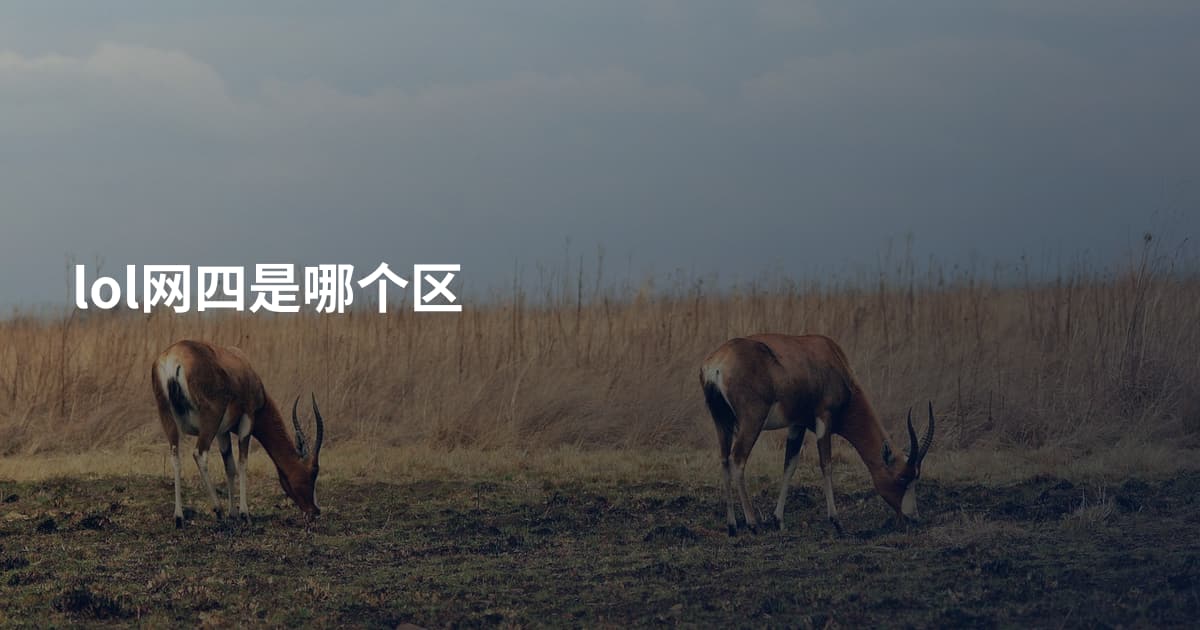lol网四是哪个区