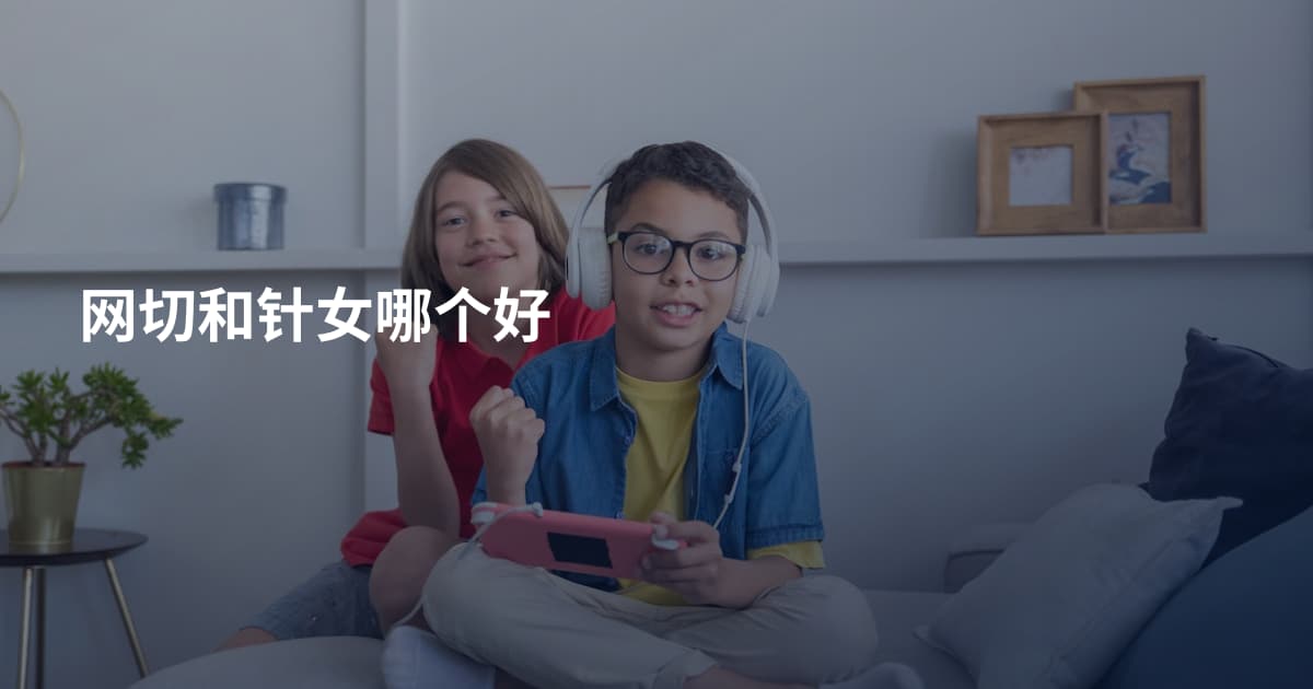 网切和针女哪个好