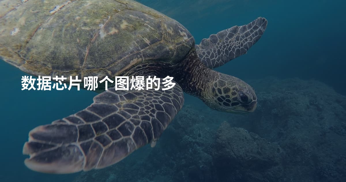 数据芯片哪个图爆的多