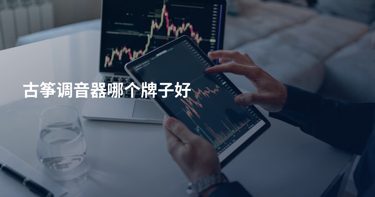 古筝调音器哪个牌子好