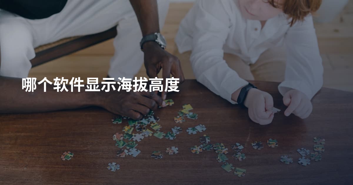哪个软件显示海拔高度