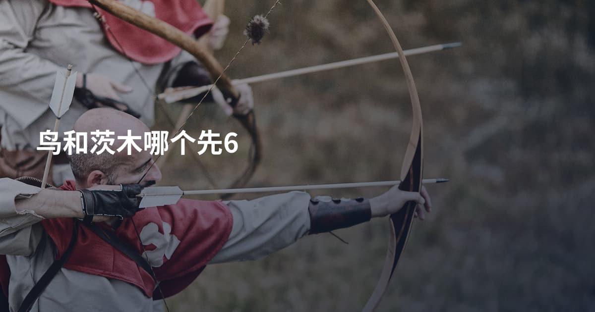 鸟和茨木哪个先6