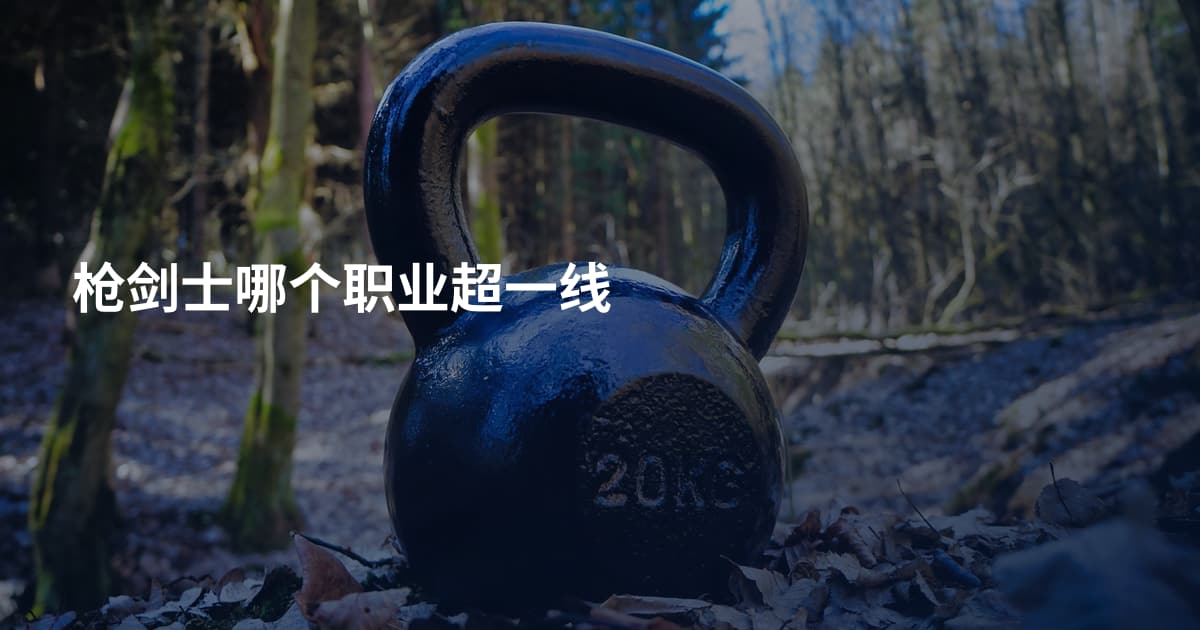 枪剑士哪个职业超一线