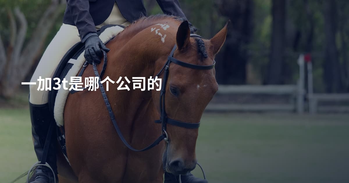 一加3t是哪个公司的