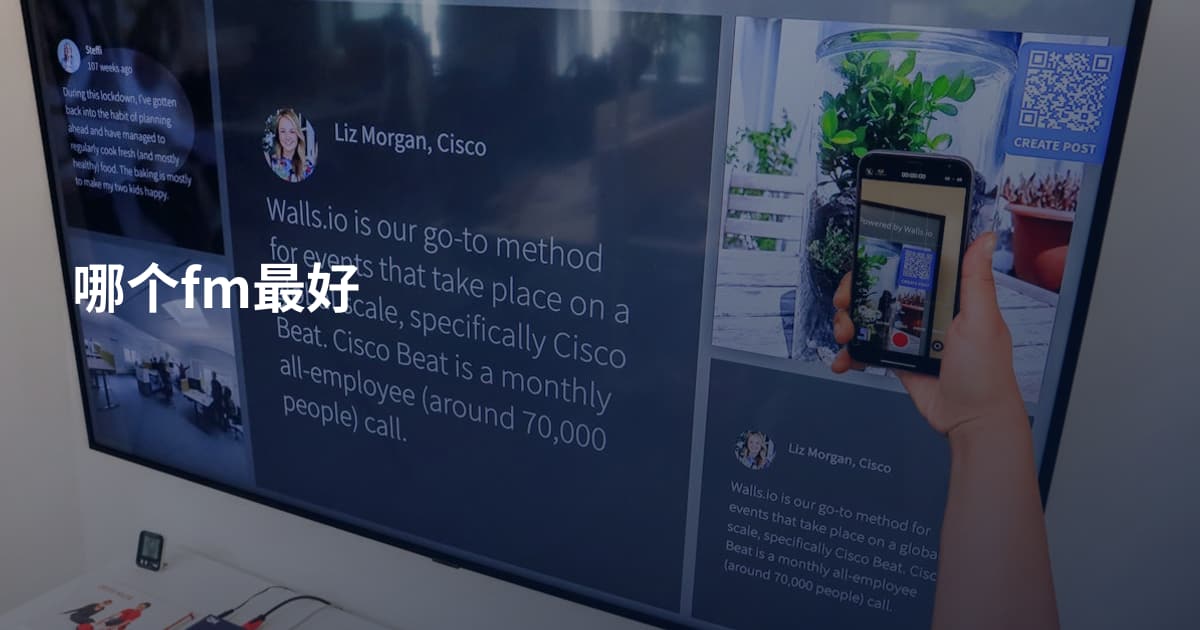哪个fm最好