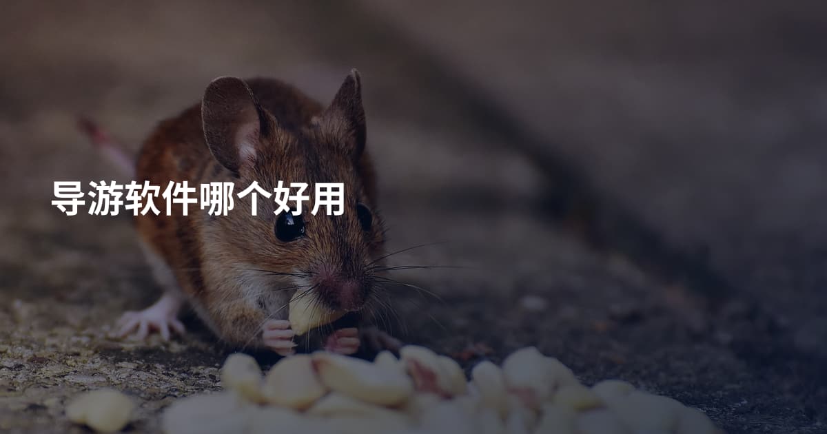 导游软件哪个好用