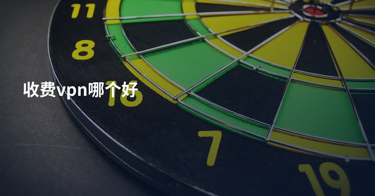 收费vpn哪个好