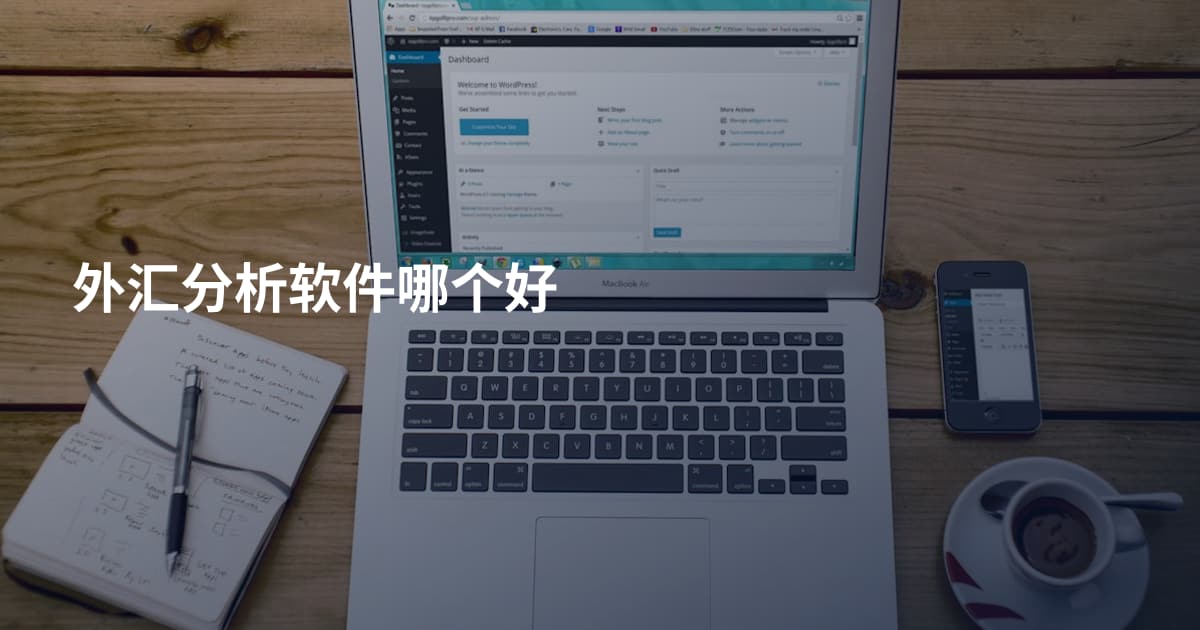 外汇分析软件哪个好