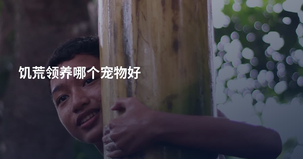 饥荒领养哪个宠物好