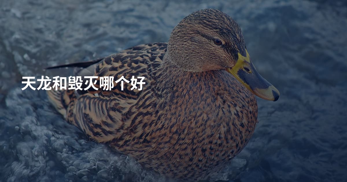 天龙和毁灭哪个好
