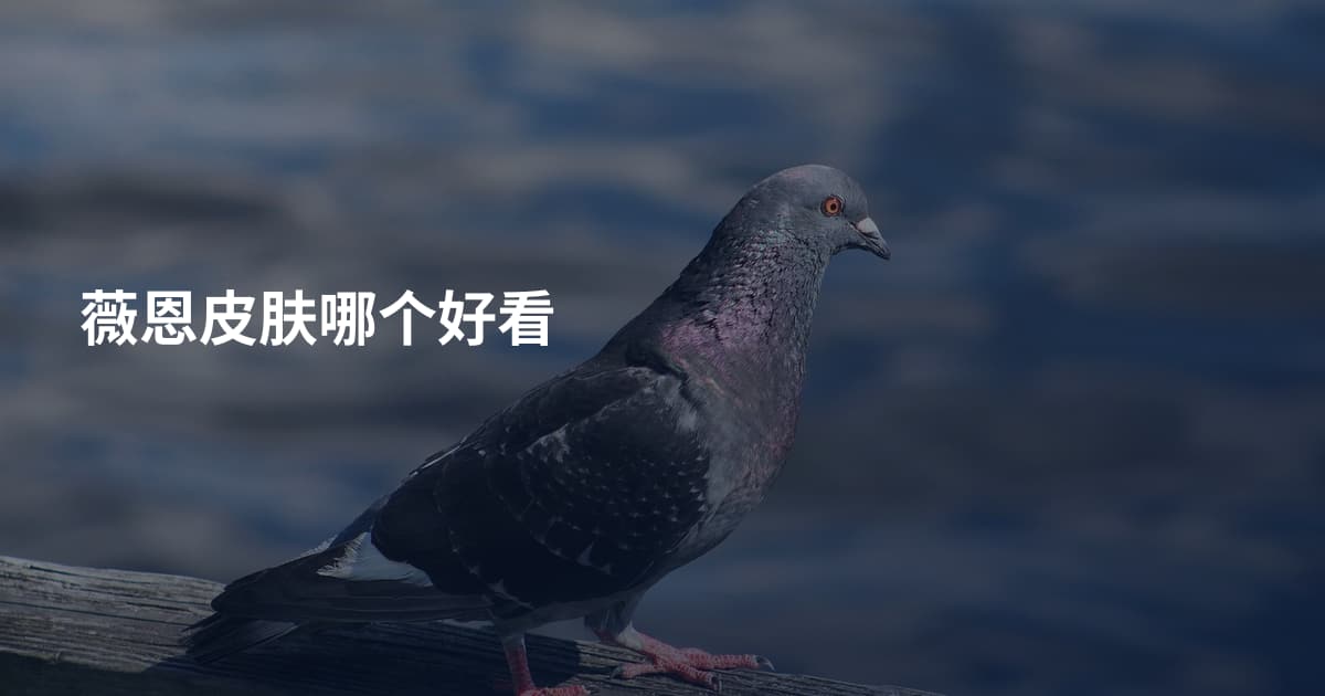 薇恩皮肤哪个好看
