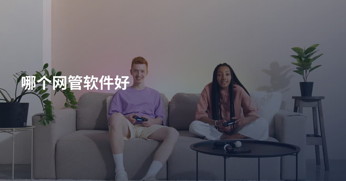 哪个网管软件好