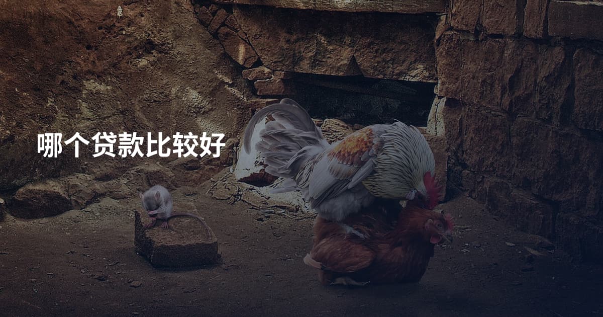 哪个贷款比较好