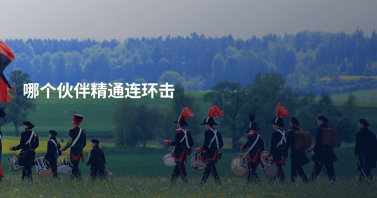 哪个伙伴精通连环击