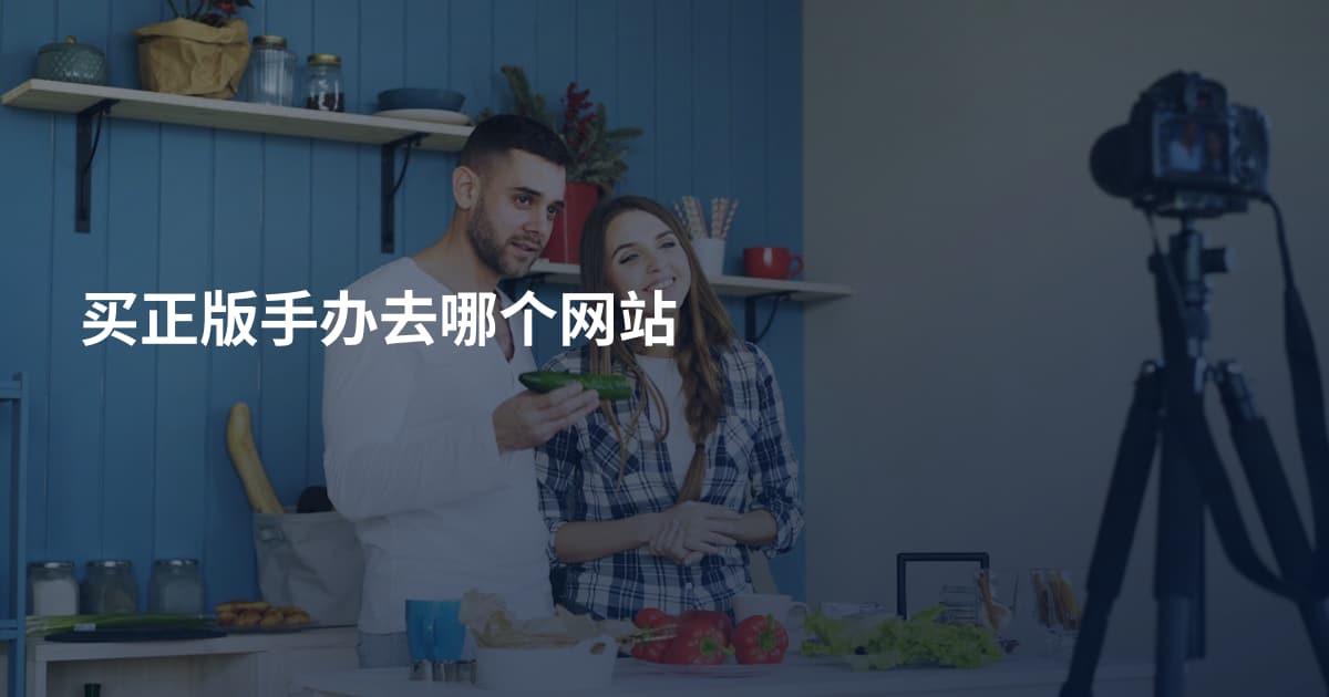 买正版手办去哪个网站