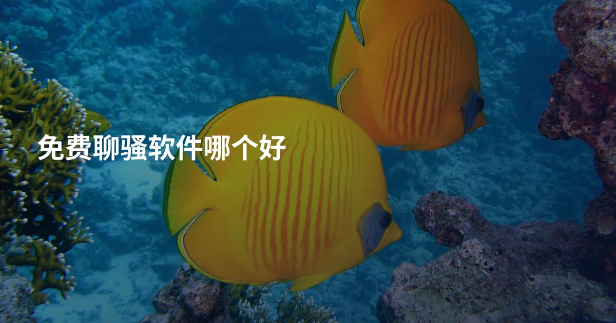 免费聊骚软件哪个好